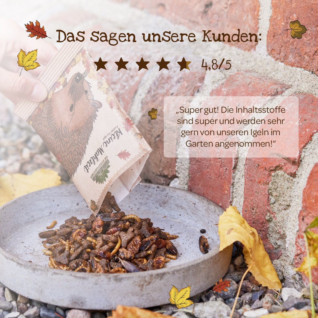 Kleine Mahlzeit Igel