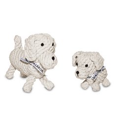 Tapsi - cult toy for dogs