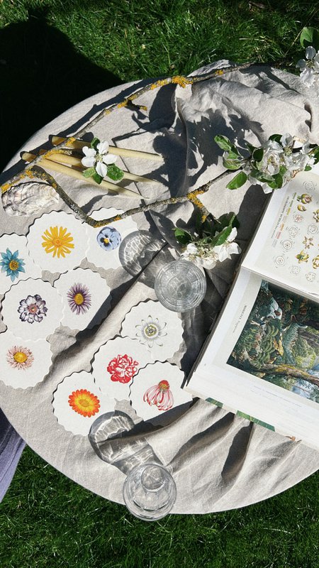 Coaster/Coaster 10 motifs flowers - 12 sets