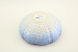 Shell Bowl 18 cm sardiner