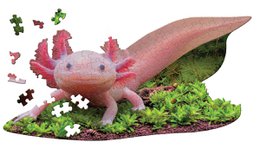 I Am Lil' - Axolotl