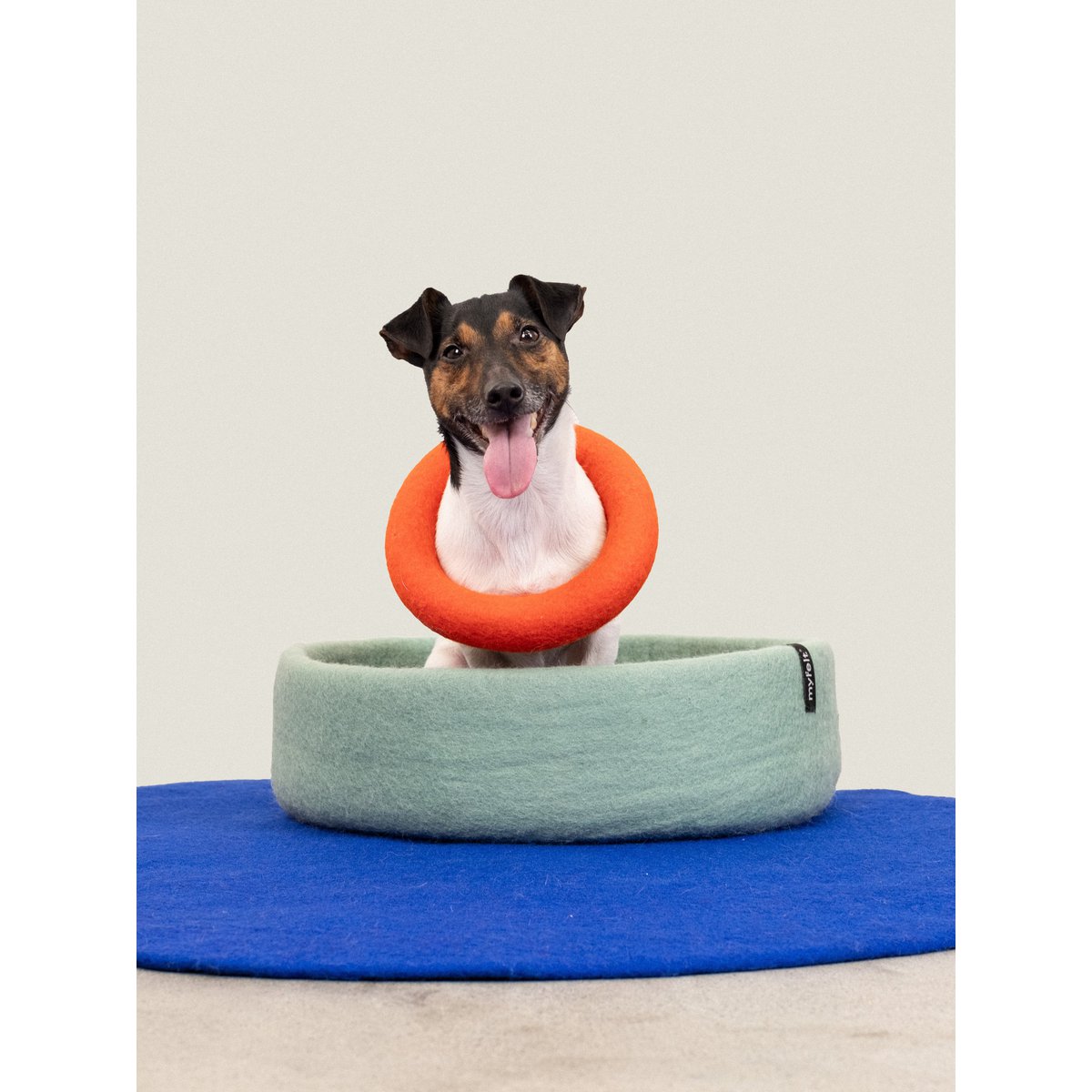 Mats Hundespielzeug - Ring