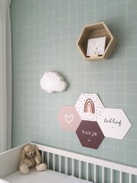 Wall hexagon boxes hearts white
