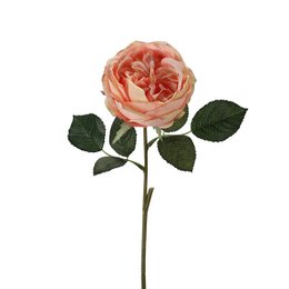Rose Marlies, 1 blomst, L38cm, D10cm, rose