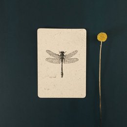 Libélula