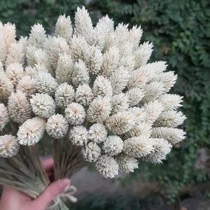 White Phalaris Dried Flower Bouquet