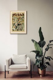 Poster Vintage Vogels - Millot