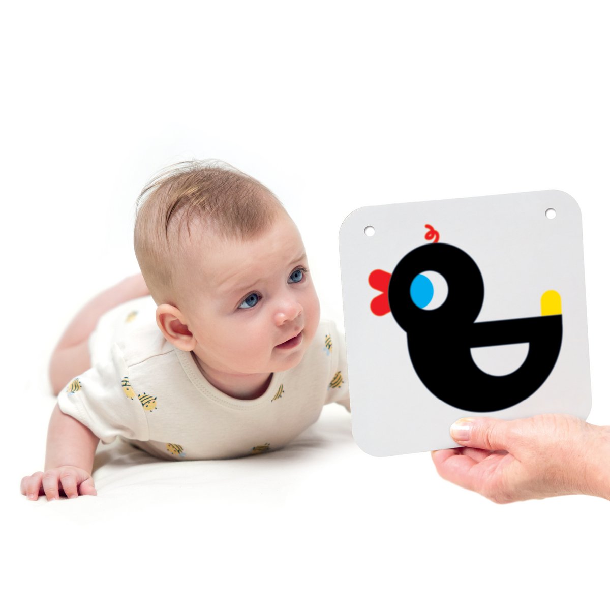 Kontrastreiche Babykarten 0m+ 3m+