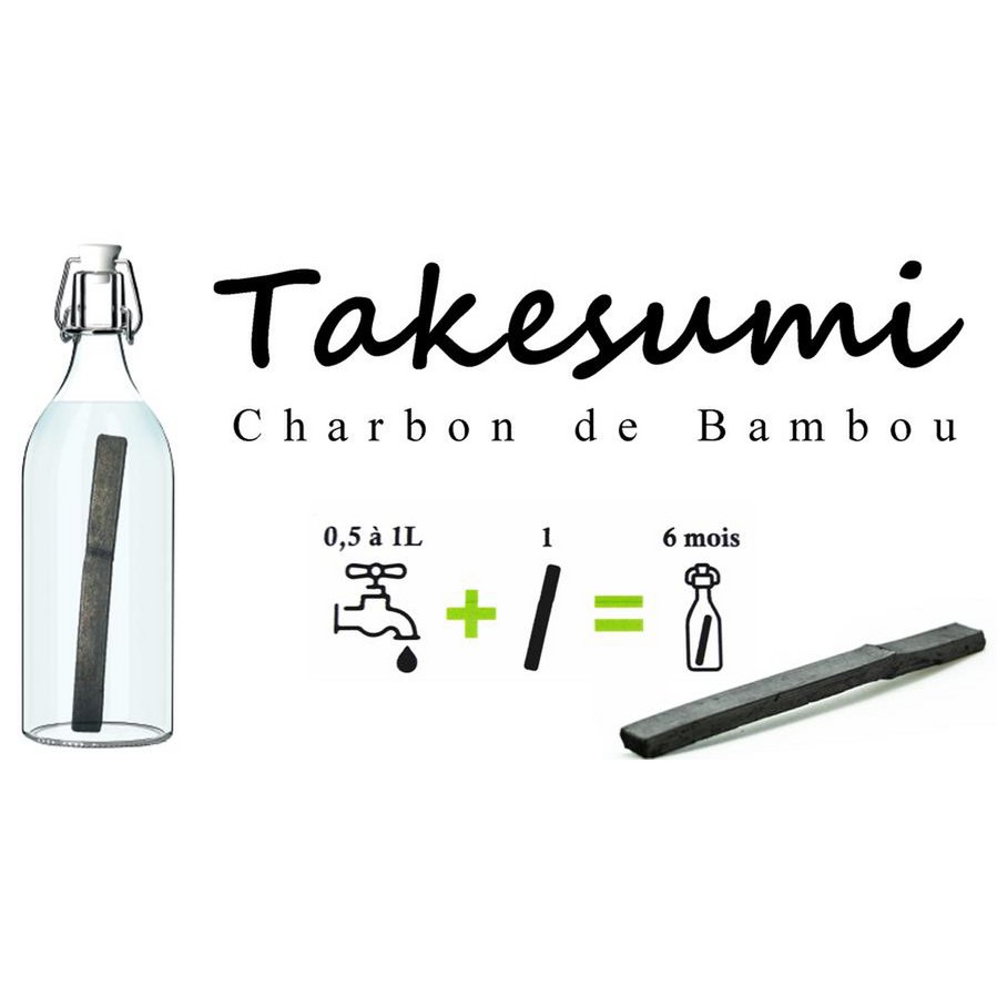Organic bamboo charcoal water filter