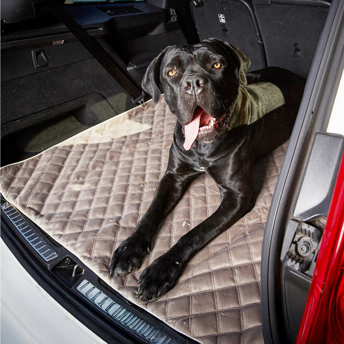Coperta in velluto OXFORD per cani