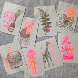 Postcard / fern with ladybugs / eco paper