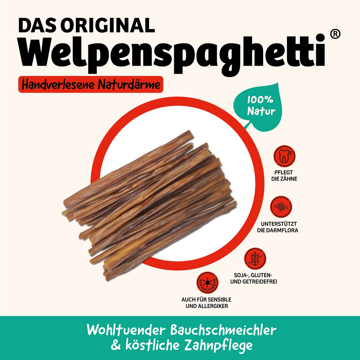 Dog snack puppy spaghetti 30g x 40