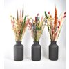 Dried flower bouquet - Color mix - 45 cm - Natural Flowers