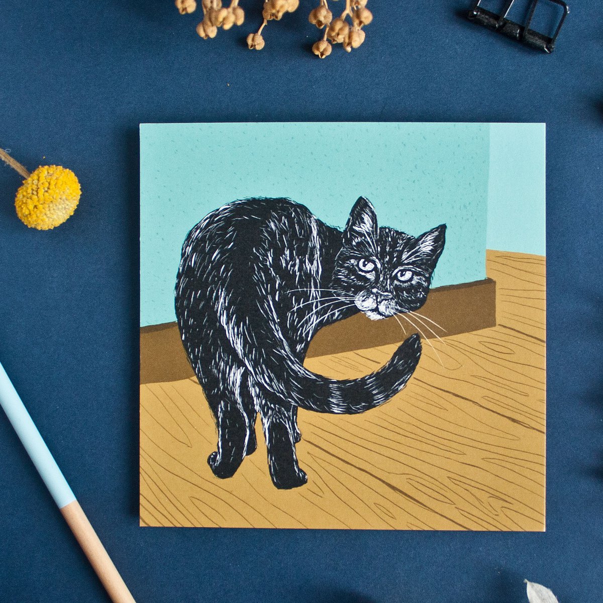 Chat de carte postale carrée