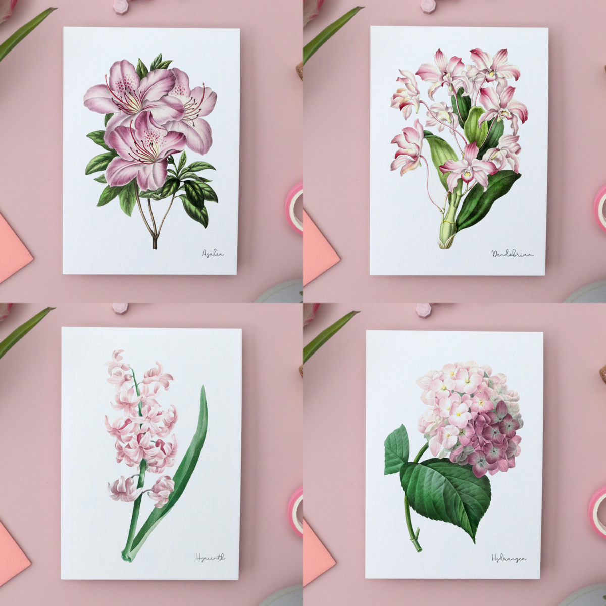 All Colors Pack - Handmade Postcards A6 with Envelope - Botanical Vintage