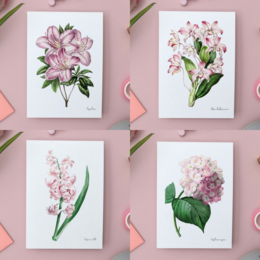 All Colors Pack - Cartoline fatte a mano A6 con busta - Botanical Vintage