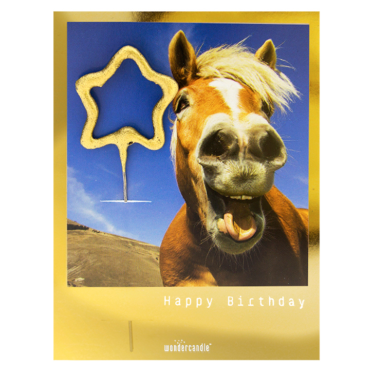 Golden Polaroid Sortiment Mini Wondercard