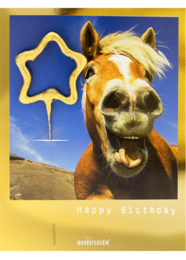 Golden Polaroid Sortiment Mini Wondercard