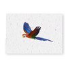 Growth chart Parrot