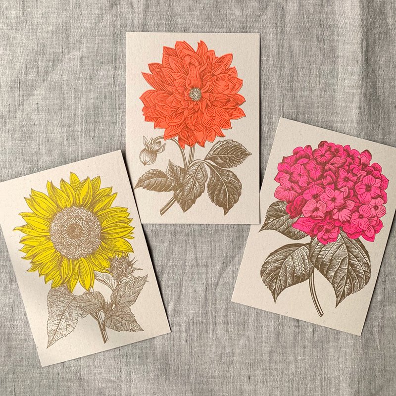 Cartolina / Dalia / Risografia