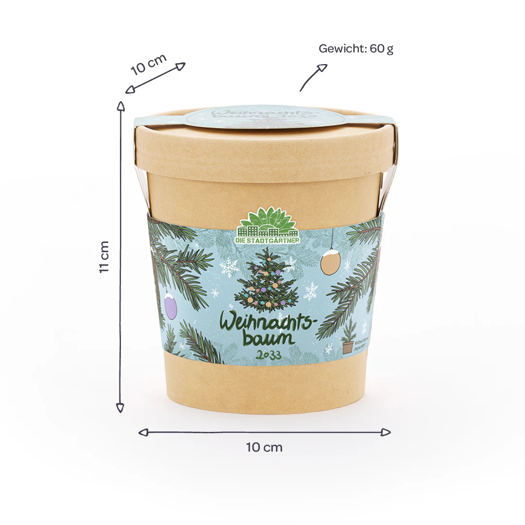 Weihnachtsbaum aus dem Becher