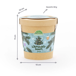 Weihnachtsbaum aus dem Becher