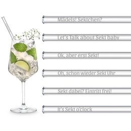 Sekt Sprüche gravierte Glasstrohhalme mit 6 lustigen Sektchen Trinksprüchen