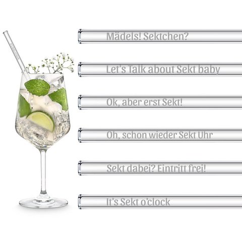 Sekt Sprüche gravierte Glasstrohhalme mit 6 lustigen Sektchen Trinksprüchen