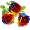 Luxuriöse Seifenblume – Regenbogen