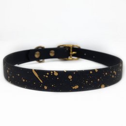 Un peu de collier de chien splash