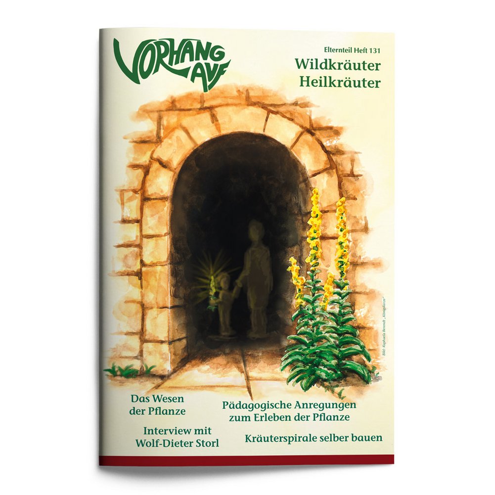 Magazine pour enfants Waldorf - CURTAIN ON Numéro 131 Herbes sauvages, herbes médicinales