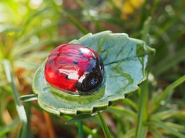 Ladybug on leaf planter ceramic 4 cm