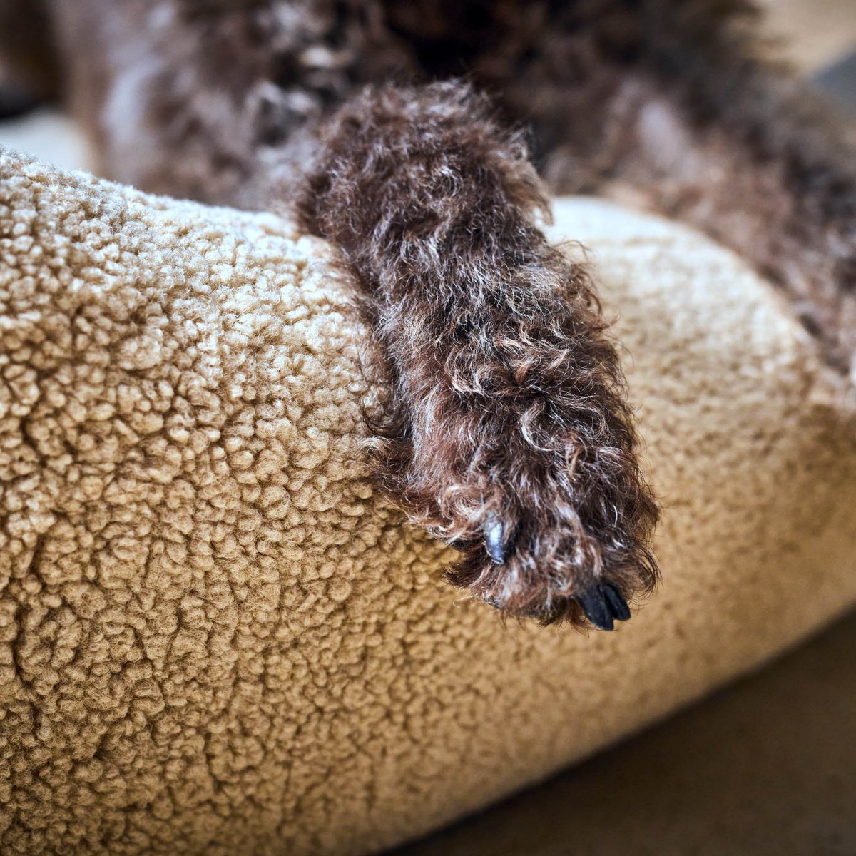 TEDDY I CLASSICO HUNDEBETT