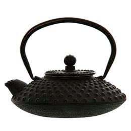 A black cast iron teapot with a stainless steel filter. The teapot has a textured, dotted surface and a round, curved shape. It appears to be a traditional Japanese-style teapot.