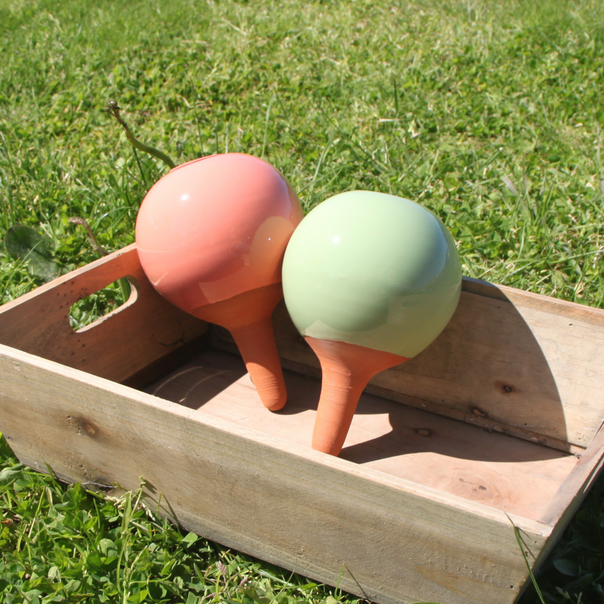 Ollas to Plant Pastel