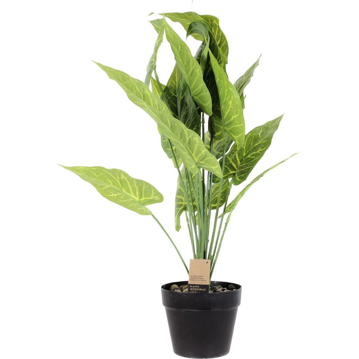 Plastica Dieffenbachia - Ø 15 x 55 cm - pianta d'appartamento tropicale - pianta falsa realistica - manutenzione - Pianta interna senza allergia - Green