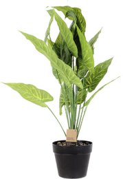 Plastic Dieffenbachia - Ø 15 x 55 cm - Tropical houseplant - Realistic fake plant - Maintenance -free and allergy -friendly inner plant - Green