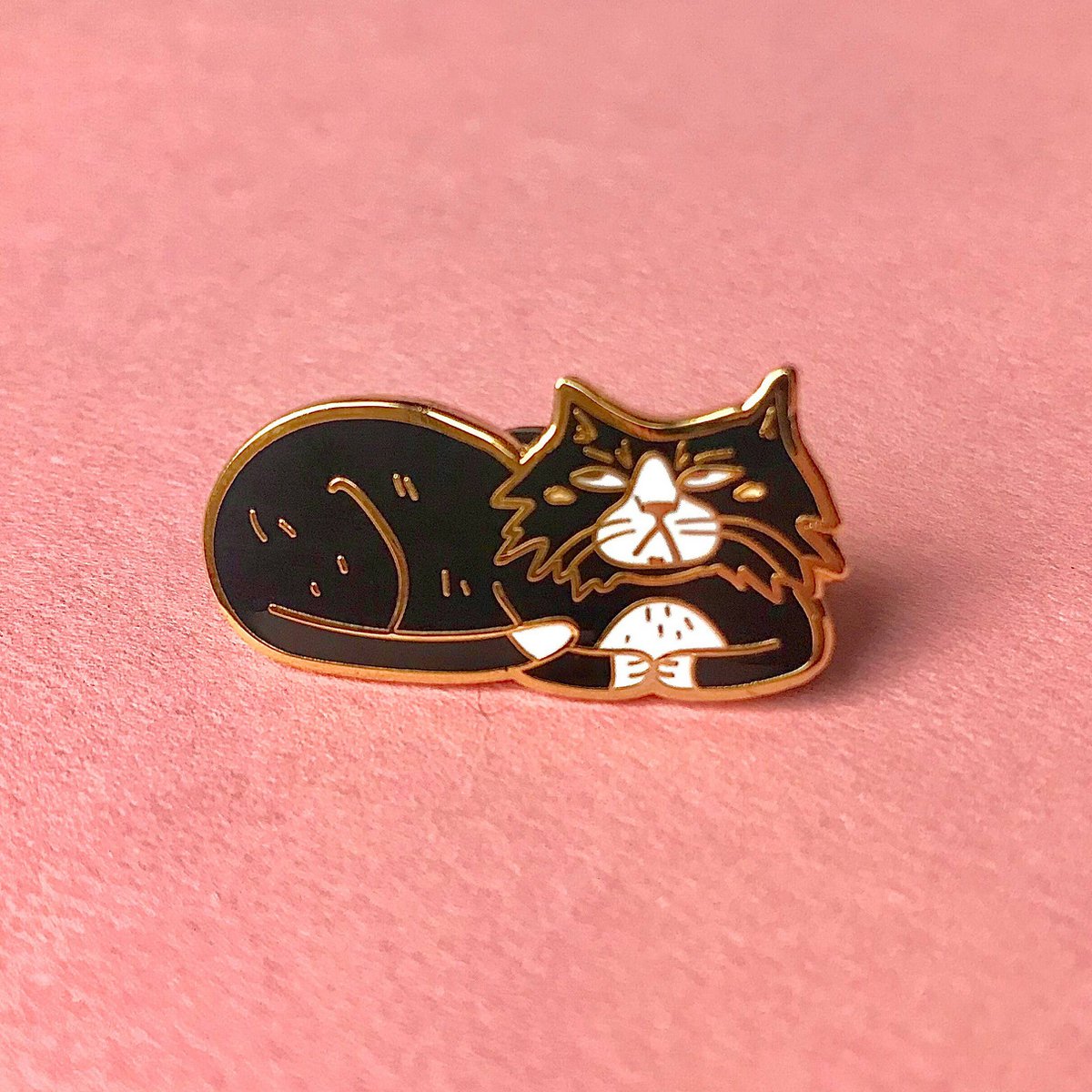 Geërgerde Cat Pin, hard email