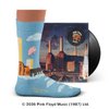 Pink Floyd, Animals Socks