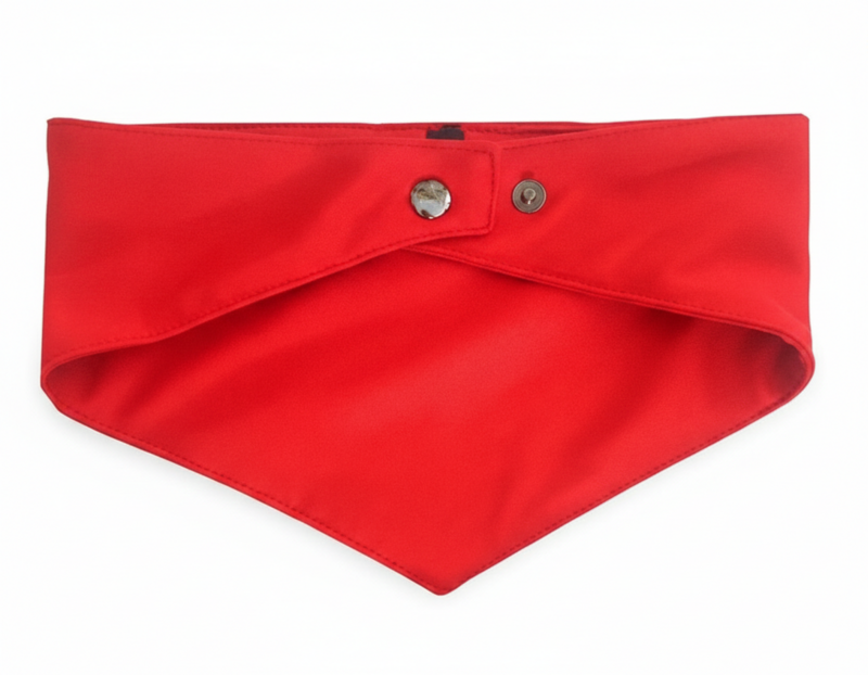 Alpha Dog "Play Hard" Cotton Dog Bandana Collection Play Red
