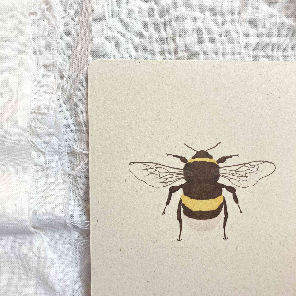 Kartenset Insekten