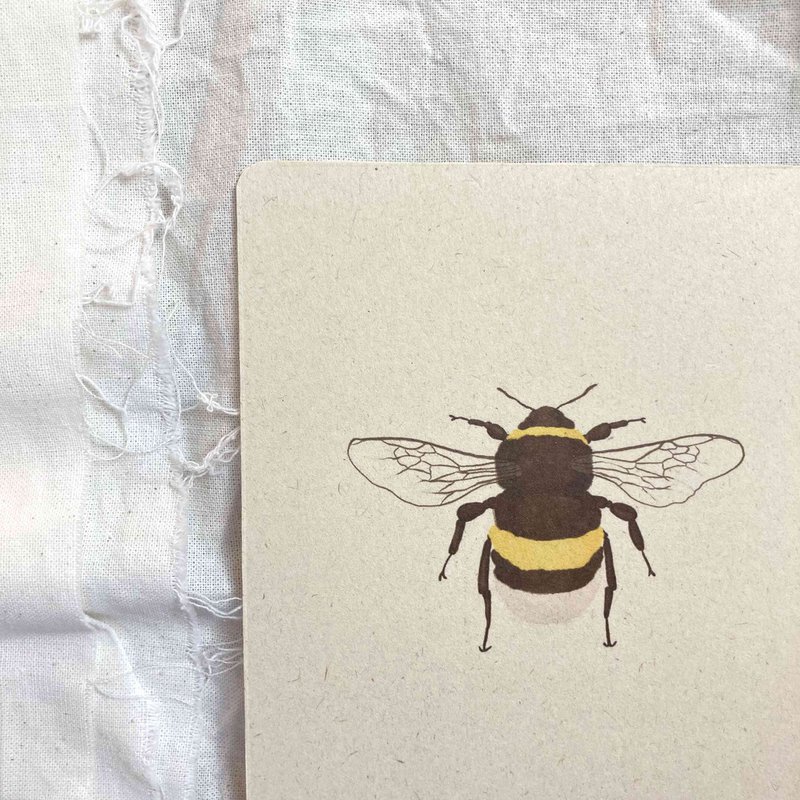 Kaartenset Insecten