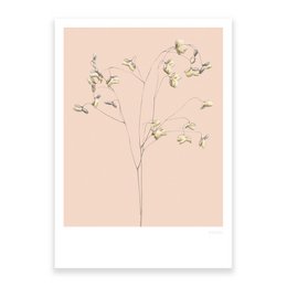 A deluxe A4 print featuring a minimalist illustration of grasses with delicate floral accents in a soft, neutral color palette.