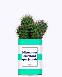 A potted cactus with green spines and a turquoise pot. The pot has the text "Mieux vaut en retard que jamais" printed on it, which translates to "Better late than never" in English.