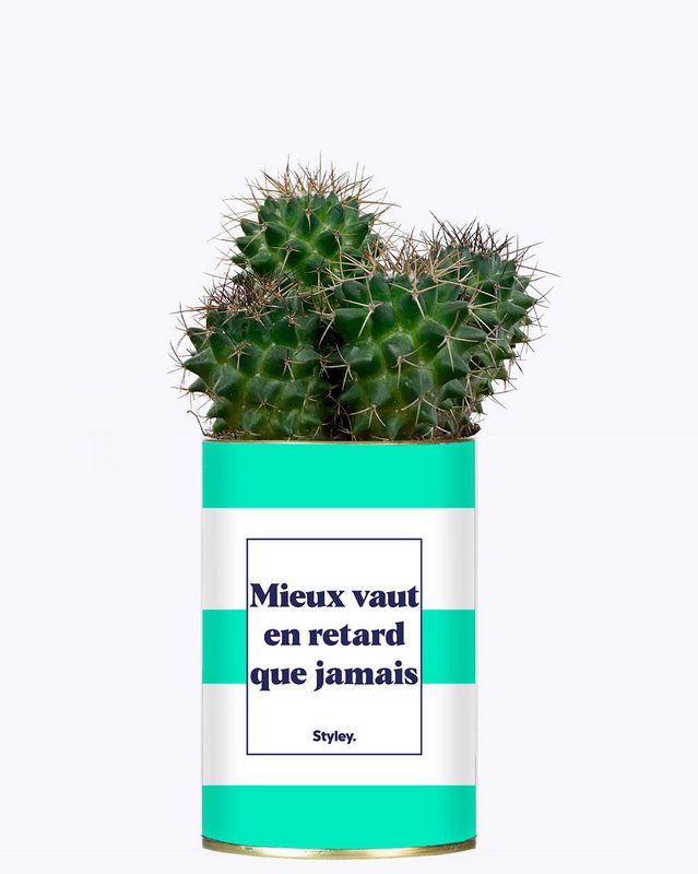 Más vale tarde que nunca - Cactus