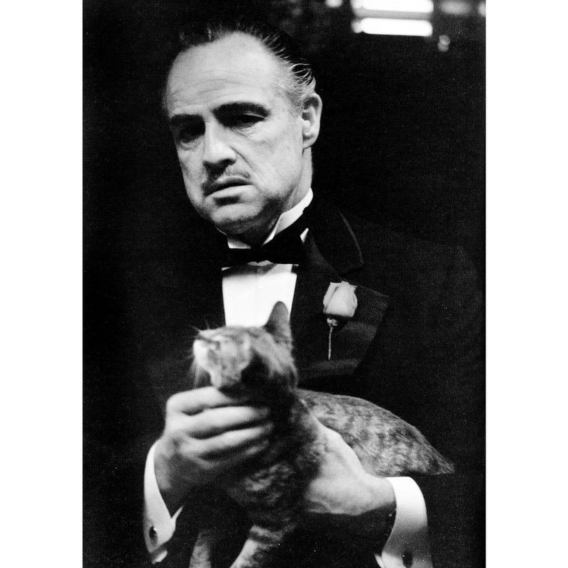 Cuadro en metacrilato - El Padrino - Marlon Brando