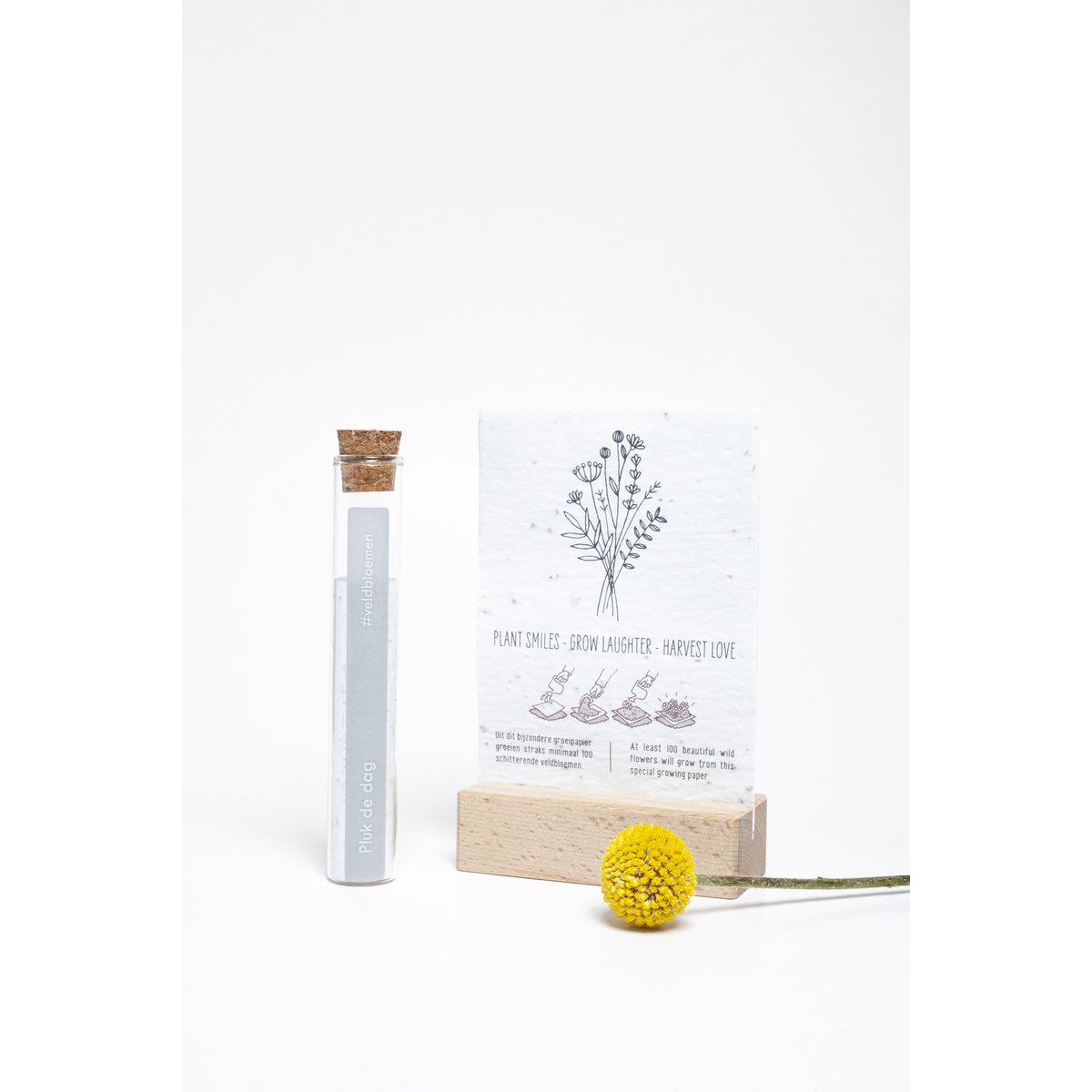 100 Moments of Happiness - Seize the Day %23field flowers (seeds in seed paper)