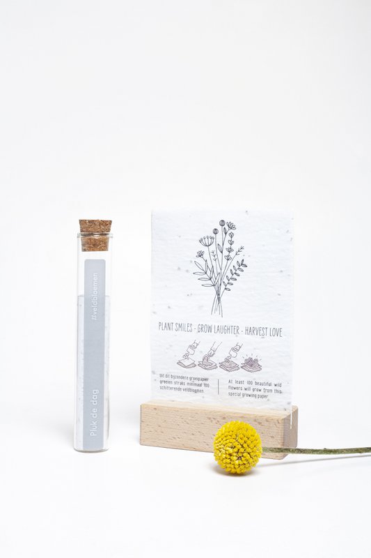 100 Moments of Happiness - Seize the Day %23field flowers (seeds in seed paper)