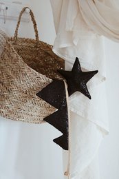 Set corona e bacchetta magica "Paillettes nere".