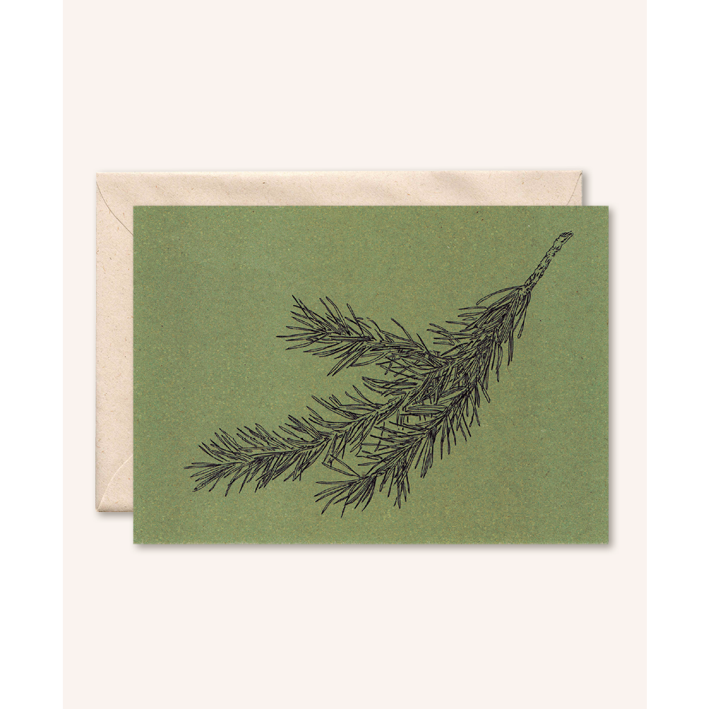 Sustainable card + envelope | Pine branch | Olive